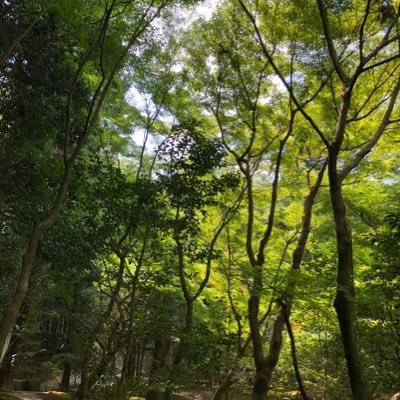 wurcB2q9Z4gtQcG's profile picture. 