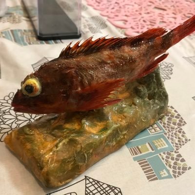 shinkaiBOY1's profile picture. 広大 生物生産学部03 Twitter始めたばかりです