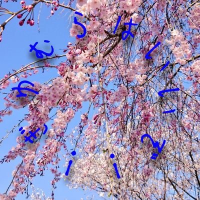 kasumi_wa_moya's profile picture. 無言でフォローしてすいません

好きなの→
👹🔪ではぎゆむら
sngkではエルリ

20↑成人済み🍁

最近は中華BLも好き、特にmdzs、cqlも完走