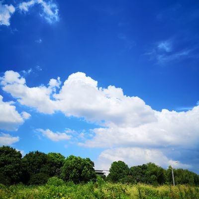 2WAD0Ij5jhpJ0NH's profile picture. Cling Film manufacture    Email：358303946@163.com