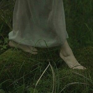 thinspo & food poll rts || dm for removal