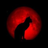 Tek_Kili_SaryaT (@kilitek) 's Twitter Profile