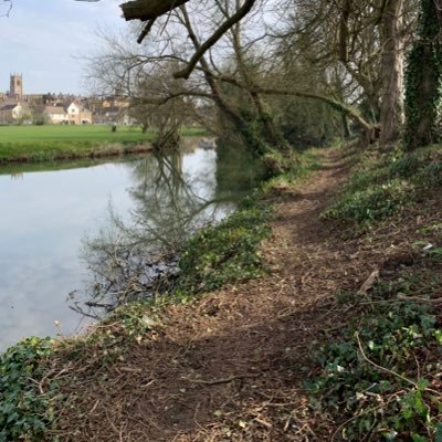 Supporting climate action initiatives in and around Stamford