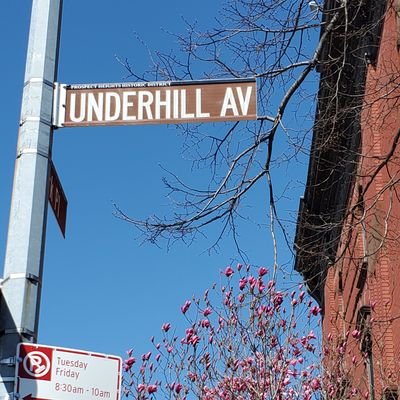 (Formerly Underhill Open Street)
Operated by @nyc_dot, @thehort and @phndc_brooklyn volunteers