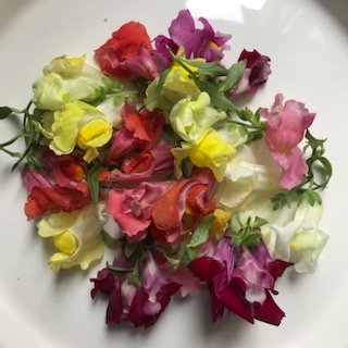 Delavig25835278's profile picture. Excédée et inscrite sur twitter pour contribuer en tant que parisienne à la preuve en images de ce que nous vivons au quotidien