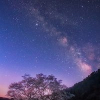 コロン (@co_ron_) 's Twitter Profile