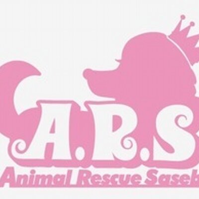 Animal Rescue Sasebo 佐世保市保健所 抑留犬情報 19 04 05 T Co Wmvc51pgbk T Co Wmvc51pgbk Animal Rescue Sasebo 佐世保市保健所 抑留犬情報 19 04 05 T Co Wmvc51pgbk T Co Wmvc51pgbk