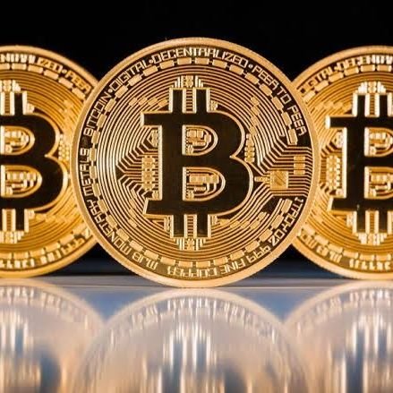 Cryptology Profile
