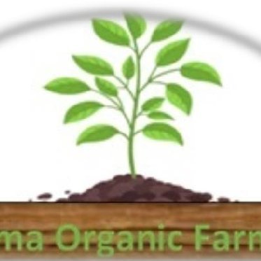 Palma Organic Farm is a climate action (SDG 13) farm working to mitigate climatic change effects on rural communities in Kenya