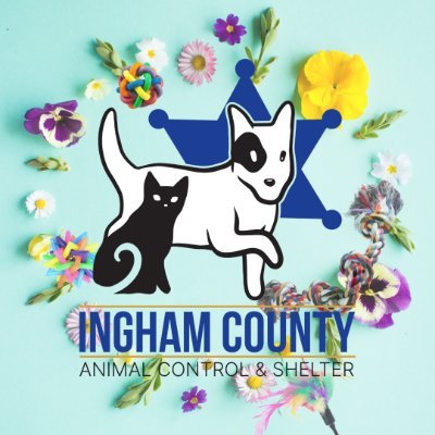 Ingham County Animal Control & Shelter is committed to the protection of animals. Through education, advocacy, and adoption, we are here to serve our community.