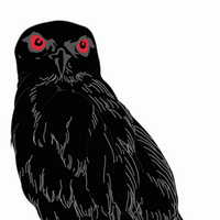 Rebecca Birdsall (@blackkitewines) 's Twitter Profile