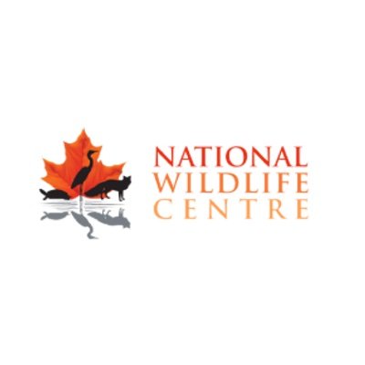 The NWC works at the intersection of humans, native wild animals, and the environment with a focus on One Health. Charitable Registration No: 840912034RR0001