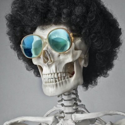 MNtravis's profile picture. 