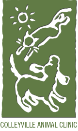 ColleyvilleVets's profile picture. Colleyville Animal Clinic is dedicated to maintaining the health of your pet and emphasizes constant monitoring of your pet’s health status.