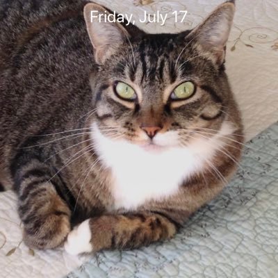 BevieBrennan's profile picture. 