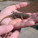 Mark VanTassel - @MarkVanTassel - Twitter