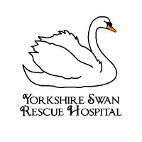 Yorkshire Swan & Wildlife Rescue Hospital(@Swan_Rescue) 's Twitter Profile Photo