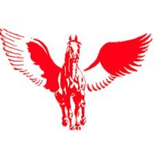 FlyersChester's profile picture. Chester Area School Events