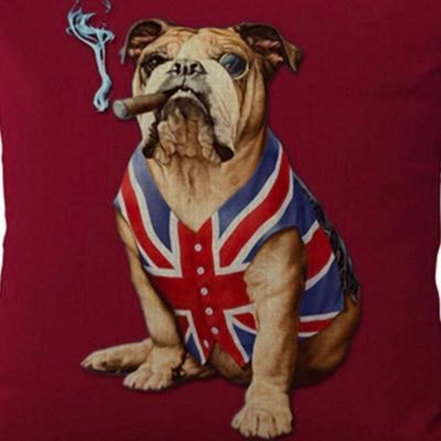 Misheleenluke's profile picture. Animal lover with 2 German Shepherds. Lover of all things British. Married to @SteveL_1968. No DM’s please.