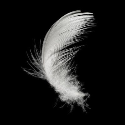 tansolotansolo's profile picture. Dulzura y cariño que esta vida ya es demasiado perra | ifb ✨