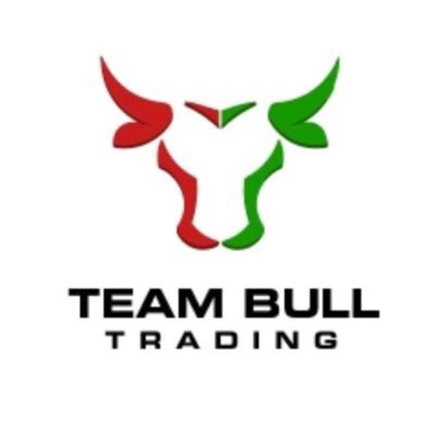 Team Bull Trading logo