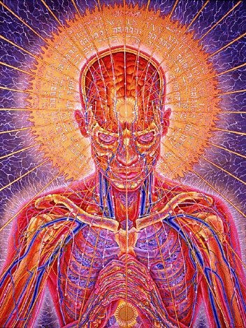 dancherous's profile picture. Cinico, pragmatico. Palermo. London. Salzburg. Lakers, Rams, A.C. Milan. Rock, Metal. Cynical. Pragmatic. Hater. #8 #24.