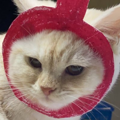 wuyifan_mayly's profile picture. สติอะไรไม่รู้จัก