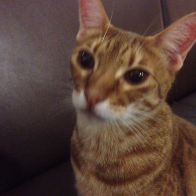 ホストクラブ 初回 案内 歌舞伎町 初めてでもok Pientai333 Twitter ホストクラブ 初回 案内 歌舞伎町 初めてでもok Pientai333 Twitter