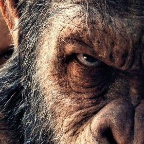 Middlem66026279's profile picture. coys