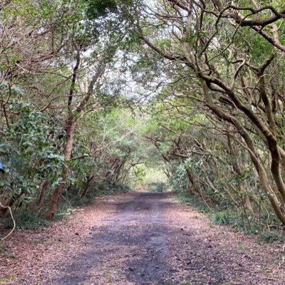 セミリタイアして伊豆大島に移住を計画中。移住したら色々な事にトライしている方たちをサポートしながら、地域に貢献し、人と自然に優しく生きていきたい。