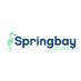 Springbay Studio (@springbaystudio) Twitter profile photo Springbay Studio (@springbaystudio) Twitter profile photo