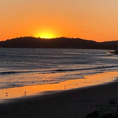 MtntoC's profile picture. SoCal local