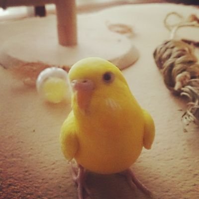 渚のジルさんのプロフィール画像