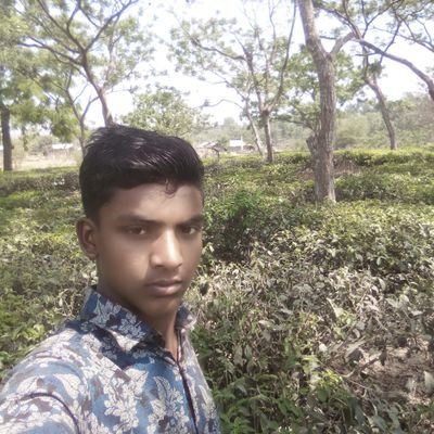 MdShohi14977209's profile picture. 