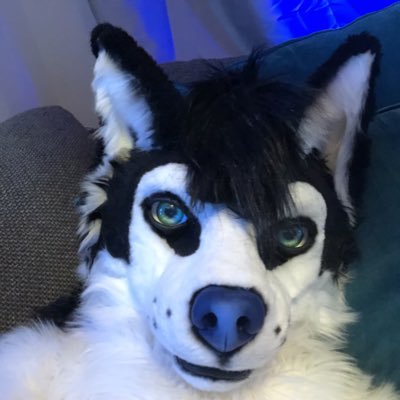 After Dark Account of @Force__Wolf | 26 | Telegram: ForceWolf | Fursuiter | NSFW content ahead | please be +18 | single | VR Gaming | DM friendly | 🔞🔞🔞🔞