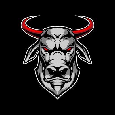 Young Bullz 7v7 official team account, now partnered with @TxThreat7v7. Dedicated to the development of student athletes and leaders. #YoungBullz