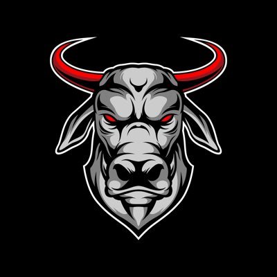 Young Bullz 7v7 official team account, now partnered with @TxThreat7v7. Dedicated to the development of student athletes and leaders. #YoungBullz