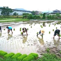 ファーム・ラン@農業動画のおまとめサイト (@farm_learn) 's Twitter Profile