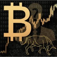 Retail Warrior Bitcoiner++ (@retailwarrior5) 's Twitter Profile