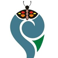 Panchavati Butterfly Park(@PanchavatiPark) 's Twitter Profile Photo