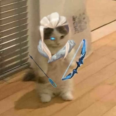 PkJ_x7's profile picture. Po'Boy