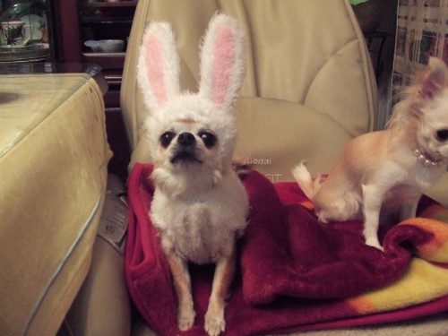 naonyan7035's profile picture. 海外一人旅♡只今およそ112ヵ国300都市以上突破♬世界一周済み♪渡韓回数100回超え!kakaofriendsのNEOを溺愛🩷猫&お菓子&スイーツ大好きなWorld Traveler🎶