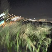 寿司ねたサボテン (@ymnr14alv0uu9xw) 's Twitter Profile