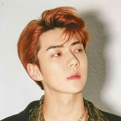hoshehun's profile picture. let's be moots 🍻