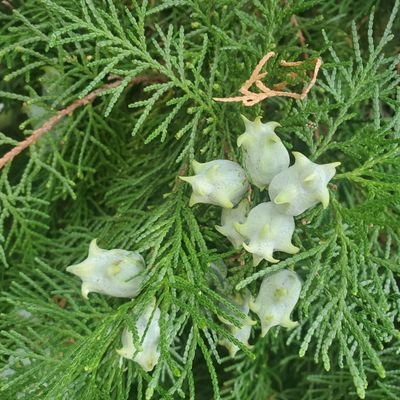 lakewoo53152499's profile picture. bio