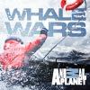 The latest Whale Wars news including production updates on Season 4, conservation news, and anything else we can think of.