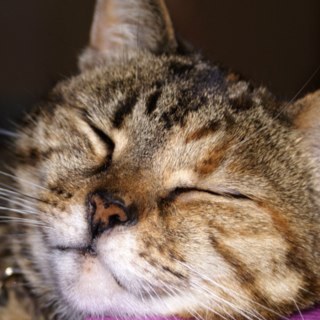 Marcsman's profile picture. 