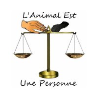 L'Animal est une Personne(@Animal1Personne) 's Twitter Profile Photo