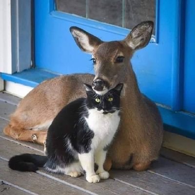 fred_artz's profile picture. 