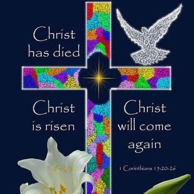 MadalinaDragom4's profile picture. 